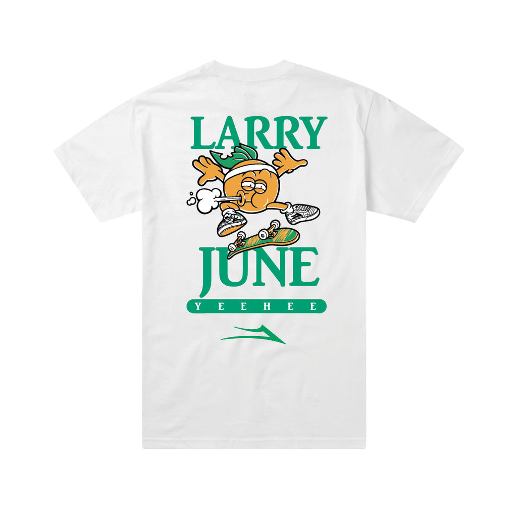 LAKAI_LARRY_JUNE-FRESH_PRODUCE_WHITE_LTS421145_WHITE_02_.jpg