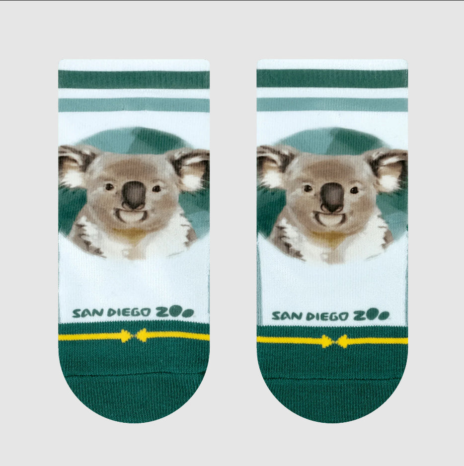 Merge4 x San Diego Zoo - Bears 3 Pack Baby Socks3.jpg