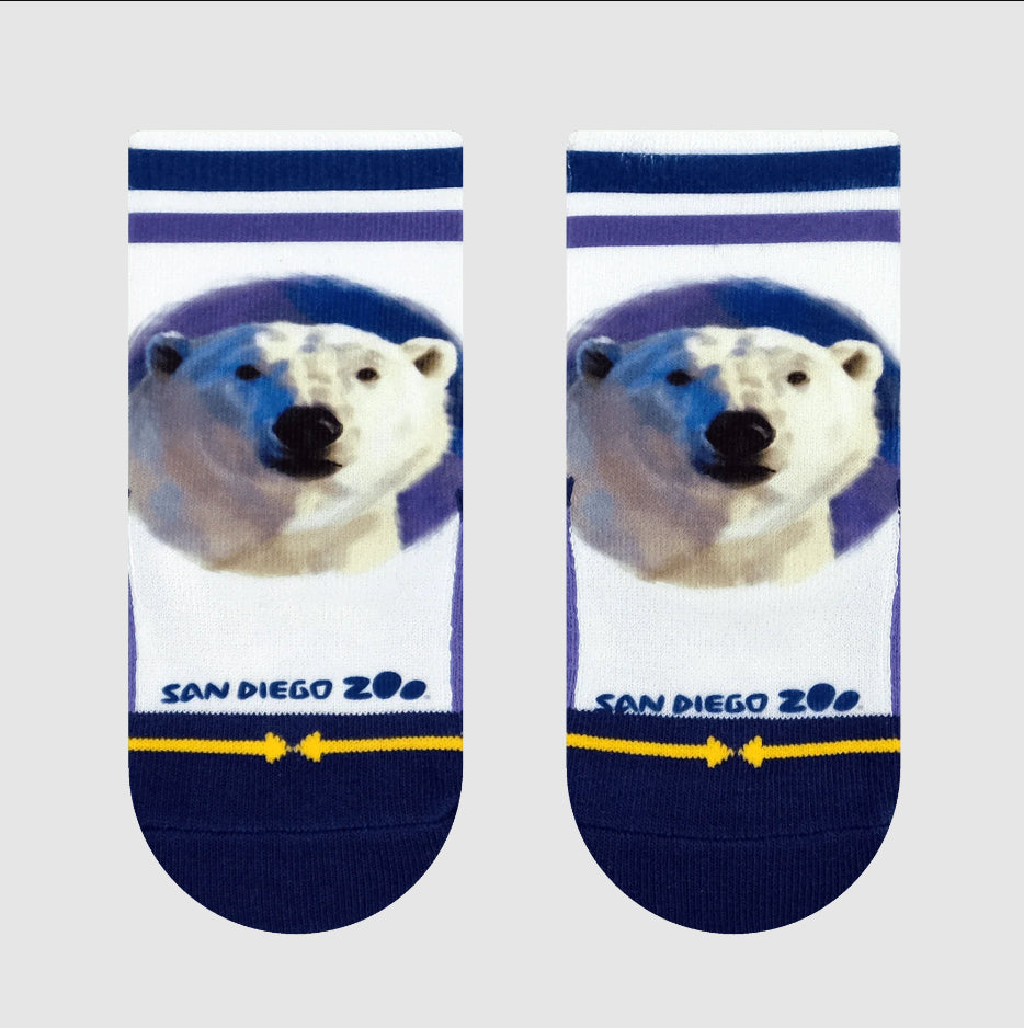 Merge4 x San Diego Zoo - Bears 3 Pack Baby Socks4.jpg