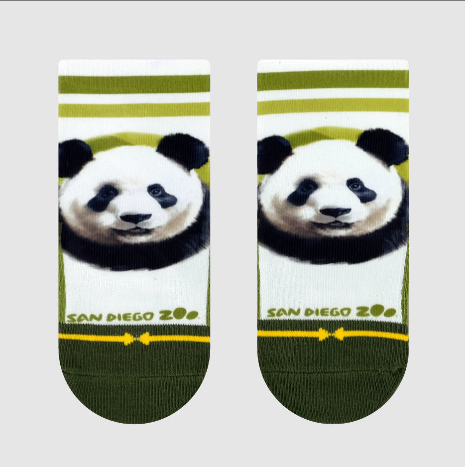 Merge4 x San Diego Zoo - Bears 3 Pack Baby Socks5.jpg