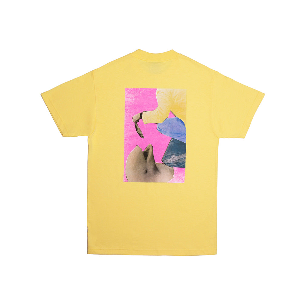 Alltimers Fish Feed Tee Banana.jpg